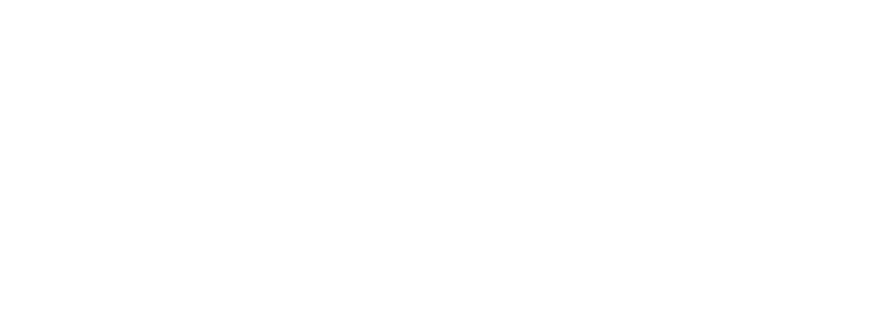 pyzer logo white bg img