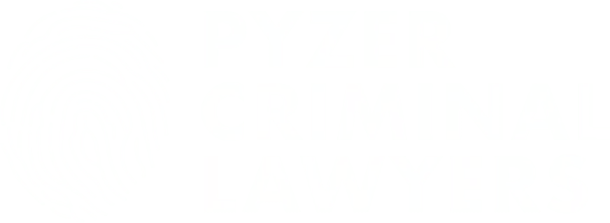 pyzer logo white bg img