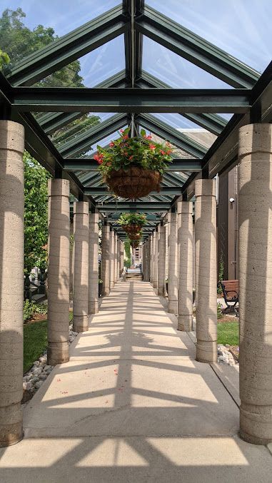 criminal lawyers Guelph - Offering criminal defence in Guelph courthouses for all criminal charges